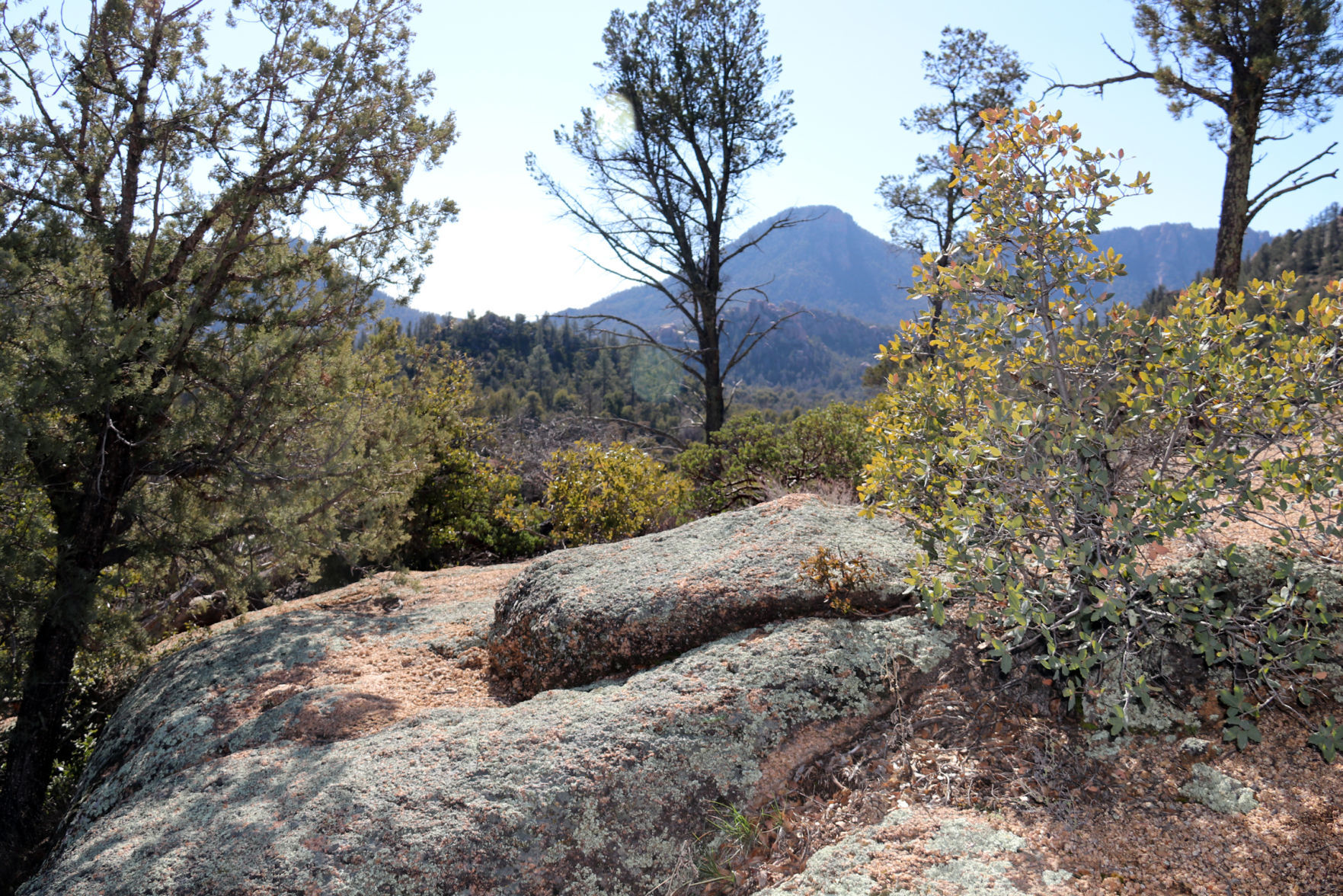 Vista on Monument Peak Loop Trail